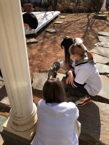 ふじ子ちゃんが初めて学校へ来た時の様子。生徒たちからも可愛がられて学校もたくさんの癒しをもらいました。